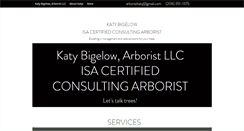 Desktop Screenshot of katybigelow.com