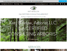 Tablet Screenshot of katybigelow.com